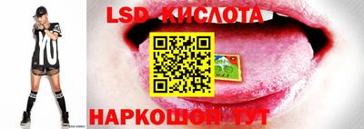 меф Кимры
