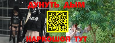 дмт Кингисепп
