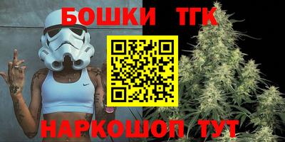 дмт Кингисепп