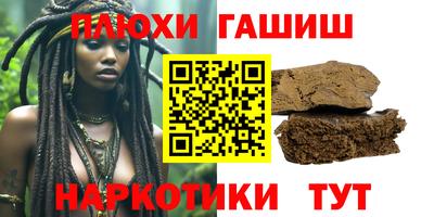 дмт Кингисепп