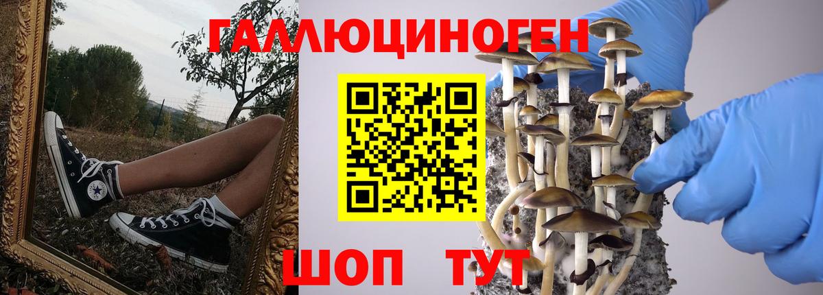 Галлюциногенные грибы ЛСД  Вход с VPN  Куйбышев 